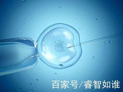 专家肖像